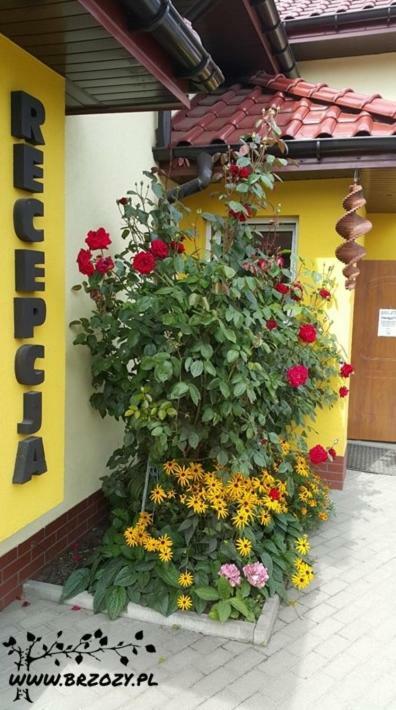Pod Brzozami - Pokoj 2-Osobowy Z Udogodnieniami Dla Niepelnosprawnych Hotel Ustronie Morskie Exterior photo